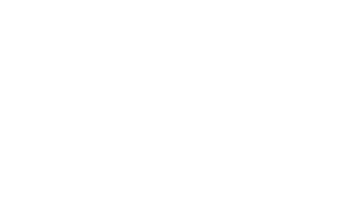 Bloque Protestante Logo